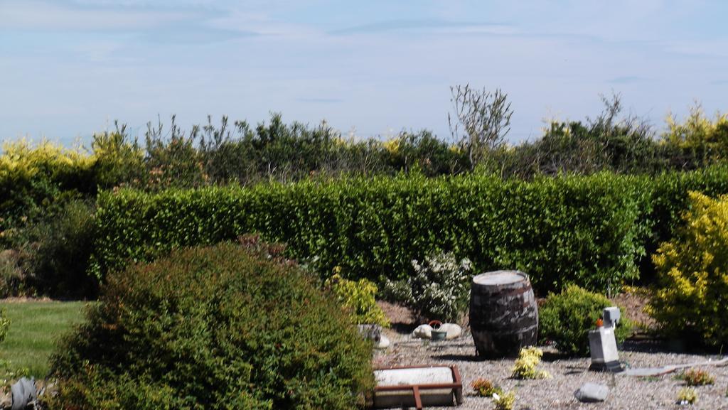 Ashley Lodge Bed & Breakfast Rosslare Harbour Εξωτερικό φωτογραφία