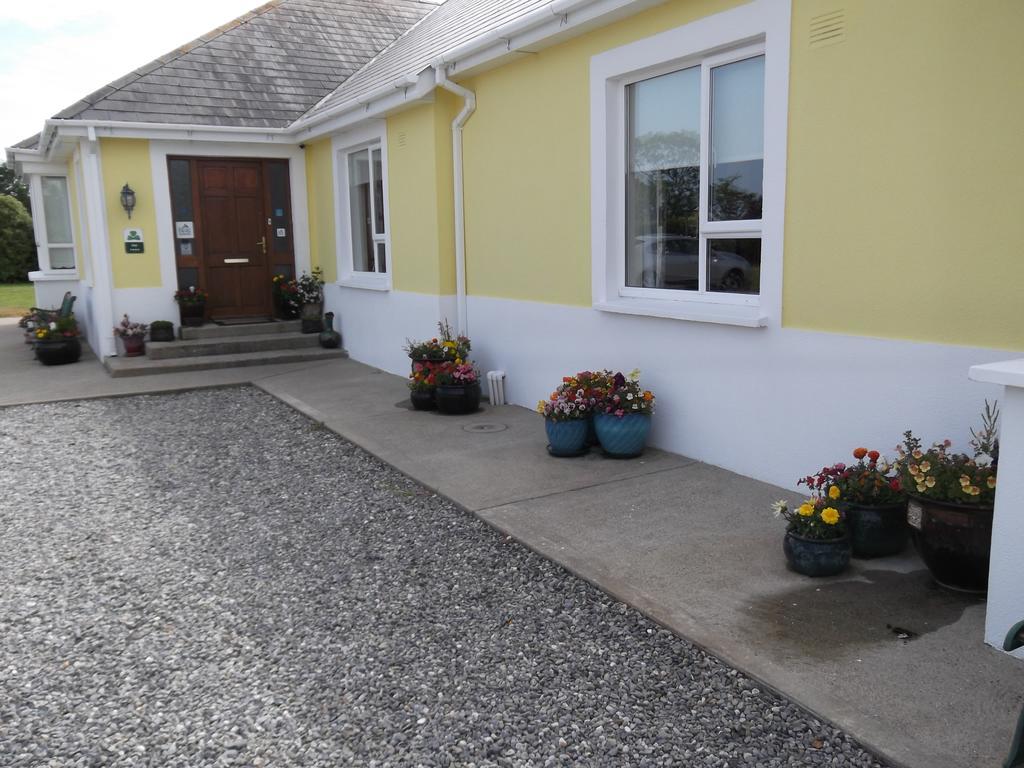 Ashley Lodge Bed & Breakfast Rosslare Harbour Εξωτερικό φωτογραφία